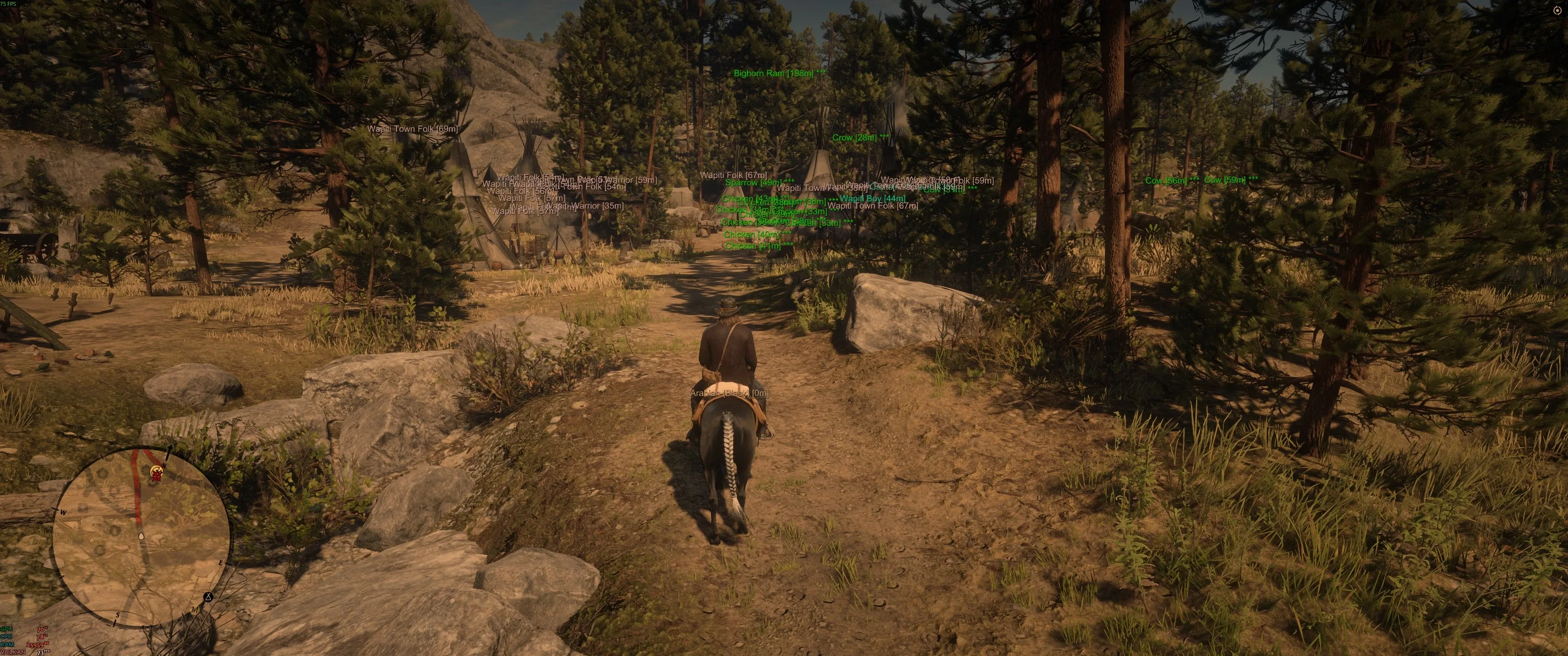 RDR2 ESP player visualization on PC